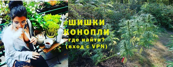 бошки Кодинск