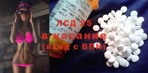 стафф Коряжма