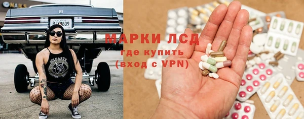 шишки Козельск